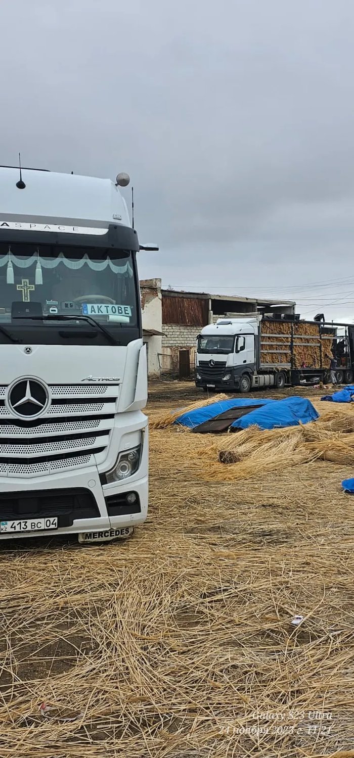 Mercedes Actros