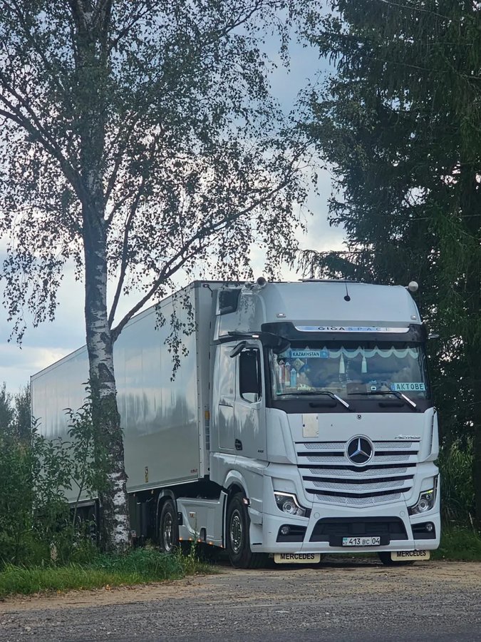 Полуприцеп Schmitz Cargobull